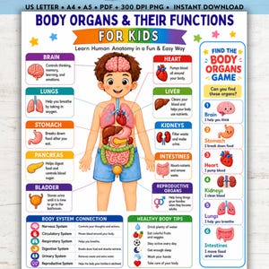 以下が含まれることがあります： Body Organs & Their Functions For Kidsというタイトルの教育用ポスター。中央に子供のイラストが描かれ、脳、心臓、肺、胃、肝臓、腎臓、腸、膀胱などの内臓がラベル付けされ、それぞれの機能が説明されています。