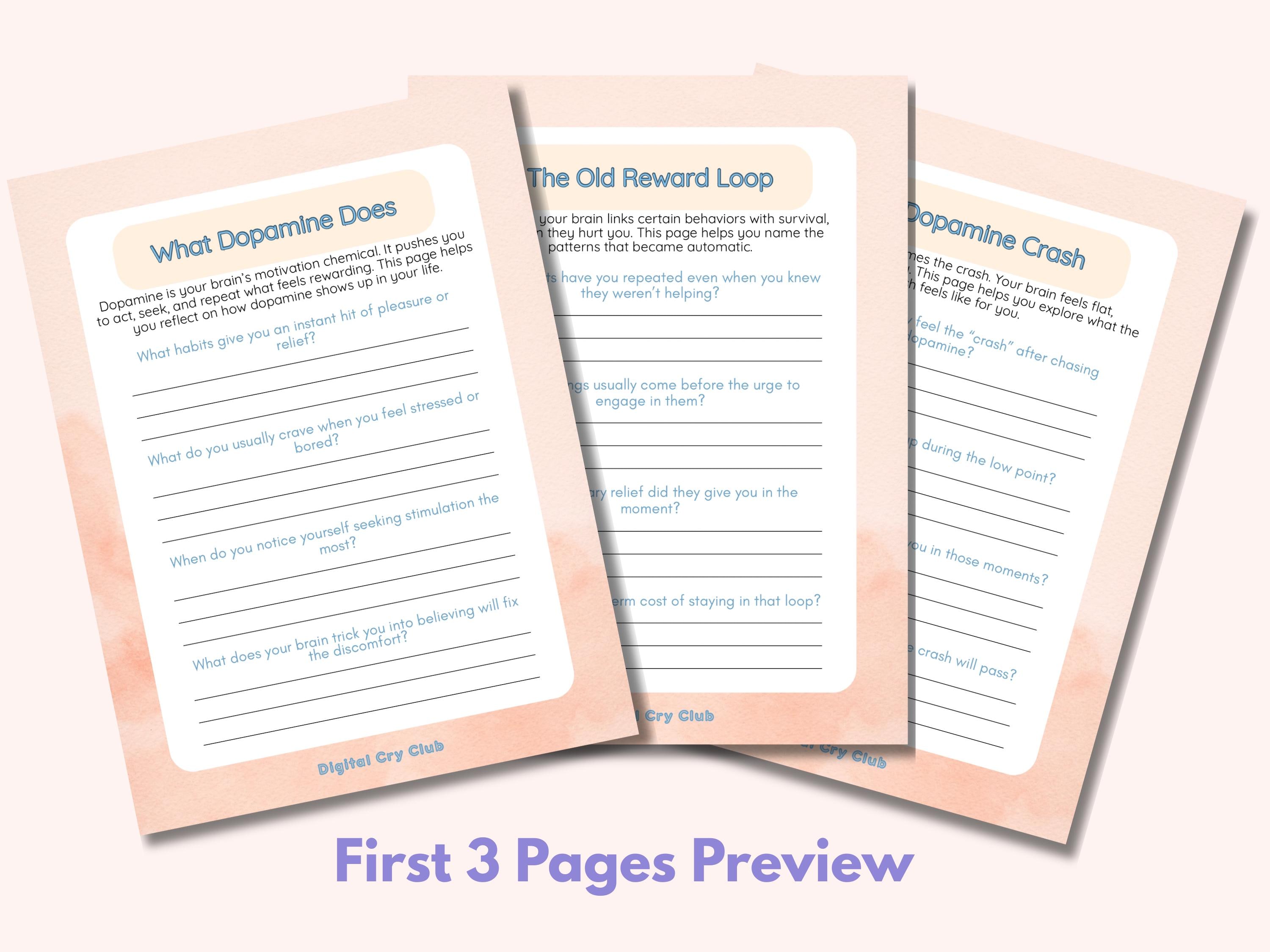 Reprogramming the Dopamine System Workbook | Recovery Tool for Cravings ...