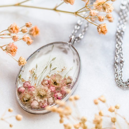Pink Ozothamnus Pressed Flowers 