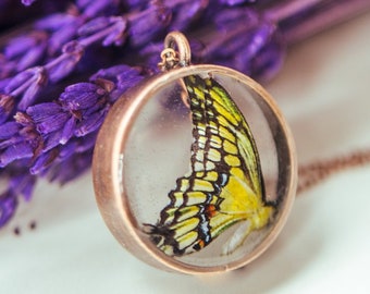 Swallowtail Butterfly Necklace Yellow Insect Cameo Resin Dome Pendant Nature Cottagecore Jewelry Women Gift