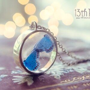 Blue butterfly necklace, butterfly jewelry, resin jewelry, unique gifts for her, tiny butterfly pendant, insect necklace, nature jewelry image 2