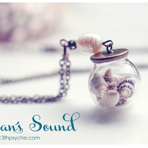 Oceaansieraden, schelpketting, ketting met glazen bol, miniatuurterrariumsieraden, nautische sieraden, cadeau voor vrouwen, zomersieraden, schelpsieraden