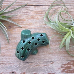 May include: A teal ceramic air plant holder with multiple holes, resembling a log, sits on a wooden surface. Air plants with long, green leaves are arranged around the holder, creating a natural, decorative display. The holder is a unique home decor item.