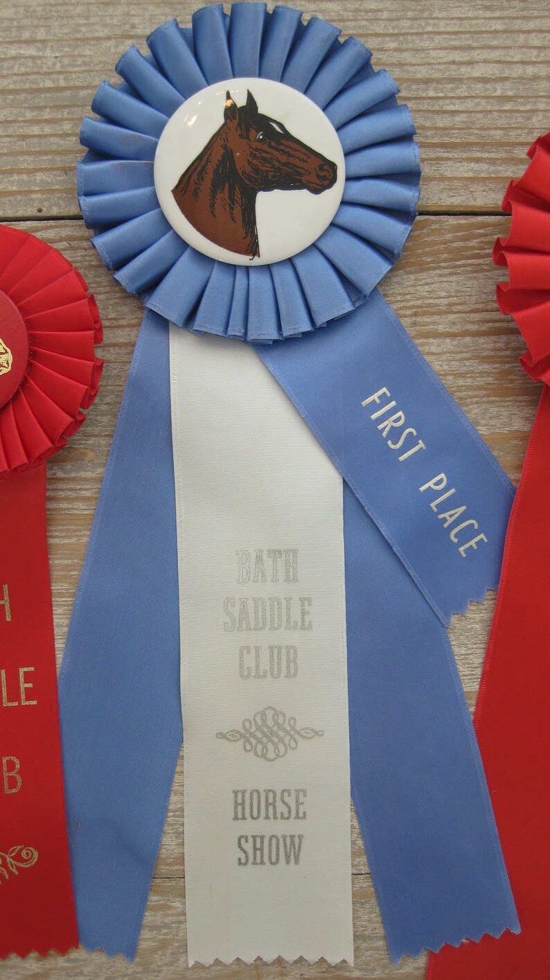 Vintage Horse Show Ribbons Award Ribbons Set Of 8 Red A8F