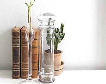 Tall Apothecary Jars Etsy