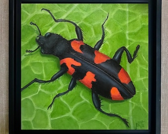 Oil Painting, Checkered Beetle