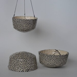 Dotted Hanging Planter image 2