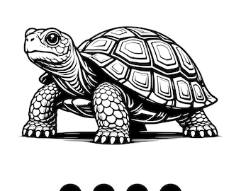 Clipart SVG tortue sulcata | Illustration vectorielle de reptile (téléchargement numérique)