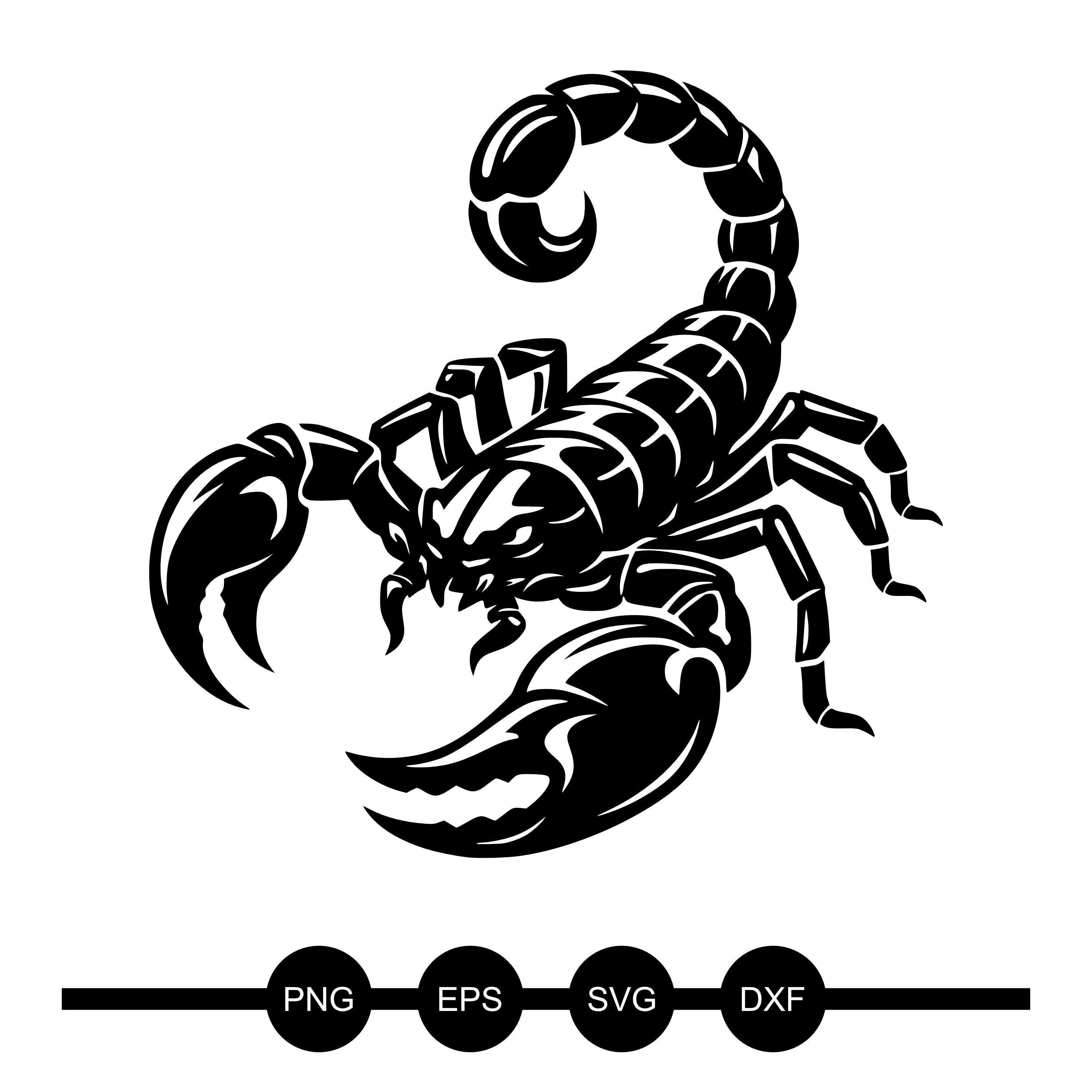 Tribal scorpion - Etsy 日本