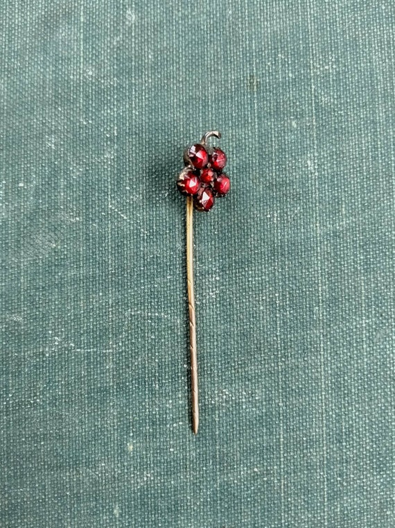 Antique Bohemian Garnet and Brass Stick Pin - image 1