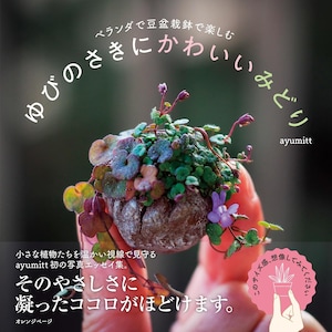 May include: A small potted plant with green, purple, and orange leaves and small purple flowers. The plant is held in a person's hand. Japanese text is visible in the background.