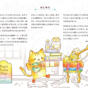 Puede incluir: Ilustraci&oacute;n colorida con un gato de dibujos animados sosteniendo libros y un letrero que dice "Magic Broom Shop SECRET SALE". Otros elementos incluyen una pila de libros, un peque&ntilde;o oso y botellas.