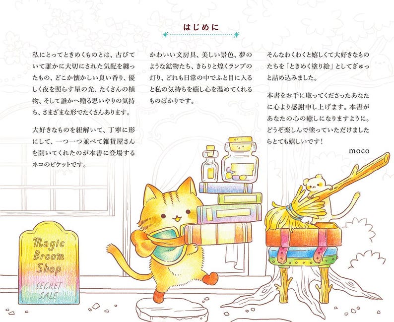 Puede incluir: Ilustraci&oacute;n colorida con un gato de dibujos animados sosteniendo libros y un letrero que dice "Magic Broom Shop SECRET SALE". Otros elementos incluyen una pila de libros, un peque&ntilde;o oso y botellas.