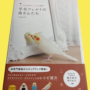 Fåglar i ullfilt – Bedårande och realistiska fågelkreationer, inklusive parakiter, sparvar, flamingos och mer