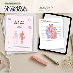 Guía de estudio de anatomía y fisiología en PDF, imprimible para estudiantes de enfermería de 97 páginas, apuntes médicos ilustrados, cuaderno de ejercicios de recuperación activa.