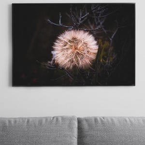 Dreamy Dandelion Wall Art- Nature Photography Print - Moody Botanical Decor - Soft Neutral Wildflower Photo