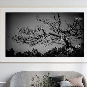 Arte minimalista de ramas de árbol en blanco y negro - Arte mural forestal - Descarga digital de naturaleza melancólica