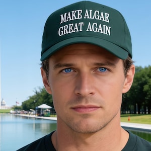 Anti Trump 8647 Make Algae Great Again Hat, Liberal Hat, Reflecting Pool, Protester Wear, No Kings, Anti Maga Cap, Political Hat, Activist