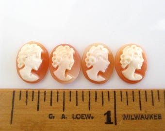 May include: Four cameo-style shell cameos with a white profile of a woman with a bun on a peach-colored background. The cameos are lined up on a wooden ruler with the text "G. A. LOEW. 1 MILWAUKEE" visible.