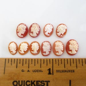 May include: Ten oval-shaped cameo pendants with a white cameo image of a woman's profile on a red-orange background. The cameos are lined up on a wooden ruler with the text "G. A. LOEW" and "MILWAUKEE" printed on it.