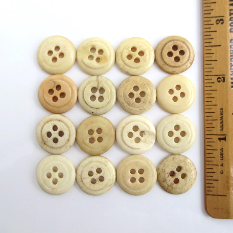 Large Button Bone - Etsy