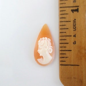 May include: A cameo pendant in the shape of a teardrop, featuring a carved profile of a woman with a white cameo on a peach-colored shell background.