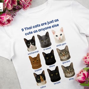Crazy Cat Lady PNG | Funny Cat Clipart | Cute Cat Lover Digital Download | Sublimation Design for T-Shirts & Mugs