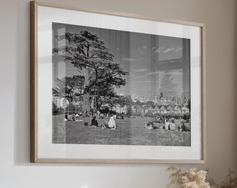 San Francisco Painted Ladies Skyline Photo Art Print, Alamo Square, Canvas or Print