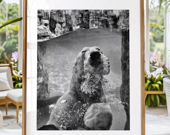 Polar Bear Photo Print, Polar Bear Swimming Underwater Art Print, Kansas City Zoo Canvas or Print