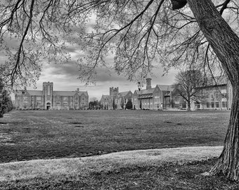 Washington University in St. Louis Art Print Photo - St Louis Photography - WashU WUSTL Canvas or Print