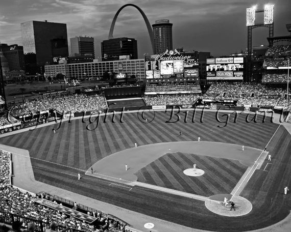 St Louis Canvas Art Prints Black and White: St Louis Cardinals New