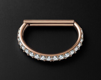 Titanium Clicker Ring in D Shape Style and Zirconia Earlobe Huggie Tragus Hoop Hoop Piercing Jewelry Nose Hoop Barbell Jewelry Rose Gold