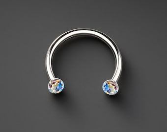 Titanium Horseshoe Ring with AB Crystals Circular Barbell Piercing Horseshoe Jewelry Ear Piercing Horseshoe Earring Helix Hoop  Silver