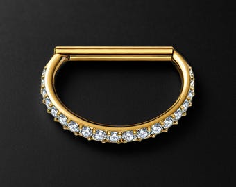 Titanium Clicker Ring in D Shape Style and Zirconia Ear Hoop Jewelry Helix Huggie Rook Piercing Nostril Charm Conch Accessory Gold