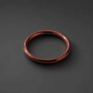 May include: A circular hoop ring with a polished copper-toned metallic finish. The jewelry piece features a seamless design with a visible hinge mechanism, creating a smooth, continuous loop appearance suitable for various body piercings.