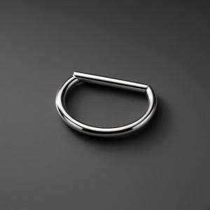 May include: A polished silver-tone metal D-ring hardware component with a smooth, reflective surface. The object features a curved semi-circular base connected to a straight horizontal bar, creating a distinct D-shaped profile for use in various craft projects.