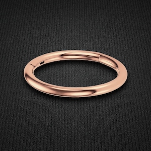 Titan Clicker Ring im klassischen einfachen Stil Daith Hoop Septum Nase Piercing Leicht Sichere Nahtlose Körper Schmuck Accessoire