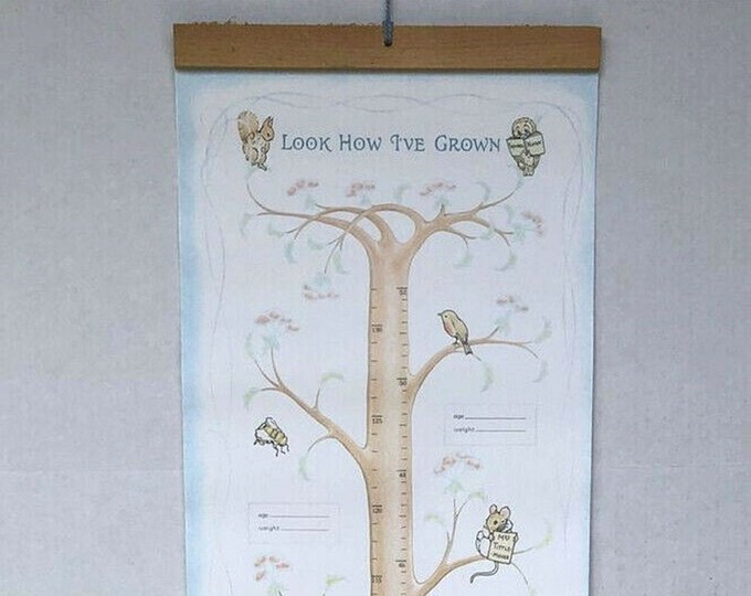 Beatrix Potter Peter Rabbit GROWTH CHART Baby Nursery Decor Wall Art ...