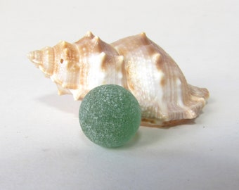 MARBRE DE VERRE DE MER VERT Véritable marbre de verre de mer dégringolé de Surf 13mm Opaque Bright Beach Glass Marble Mermaid Tears Jewelry Making Craft Supply