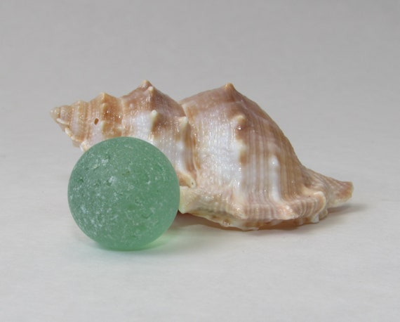 Genuine Large Clear Sea glass