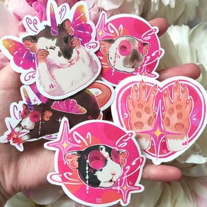 Unicorn Rat Sticker Pack 5 Pcs – Cartoon Pet Stickers for Laptop, Water Bottle & Scrapbooking