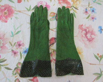 Vintage PRE_OWNED Handmade True Green Kid Suede Leather Gloves with Snakeskin Cuffs---12" long---Size 6 1/2--Glove Auction #3560--0424