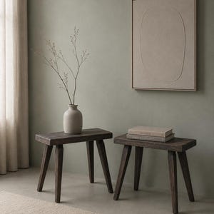 May include: Two dark brown wooden stools with angled legs. One stool holds a beige vase with dried branches, the other holds two books. The stools are on a light-coloured rug, with a neutral-toned wall and artwork in the background.