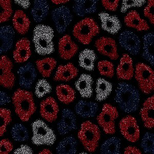 May include: A repeating pattern on a black background featuring irregular, circular shapes filled with a textured, glittery finish. The shapes are coloured in alternating shades of vibrant red, deep navy blue, and bright white, creating a dense design.