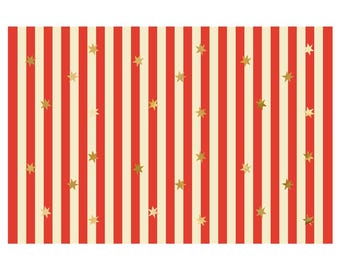 Tovaglia di carta per festa a tema circo / Strisce rosse e bianche con stelle dorate / 180 x 120 cm / Design vintage a righe per festa a tema circo