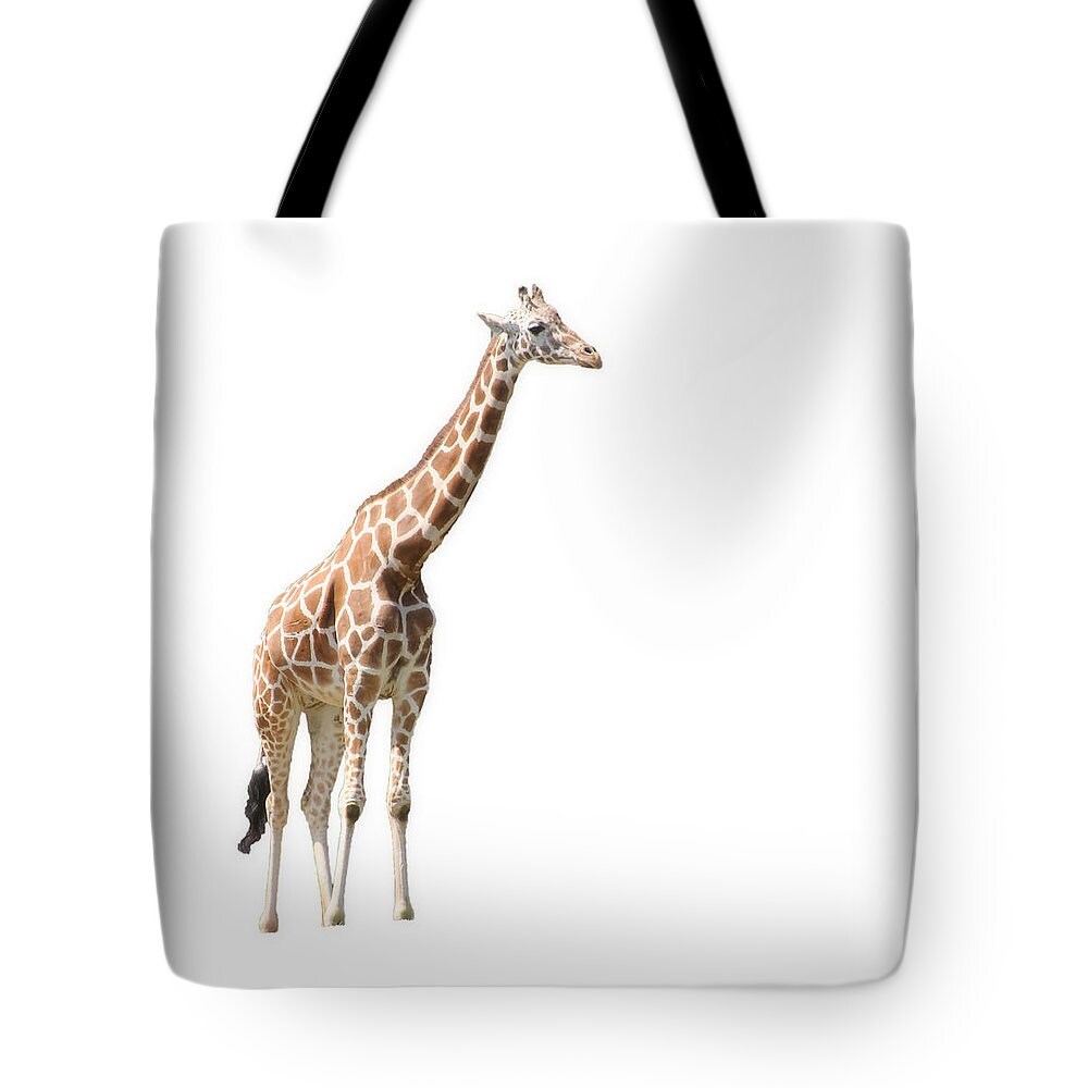 Giraffe Tote Tote Bag Giraffe Tote Bags Totes Bags | Etsy
