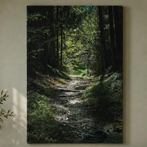 May include: A rectangular wall art print featuring a forest path scene with dark green trees, dappled sunlight, and a dirt trail. The artwork is displayed on a sage green wall above a beige sofa with various throw pillows and a small potted plant.