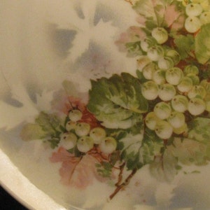 Antique China Plate White Grape / Vintage/Cottage Decor Wedding
