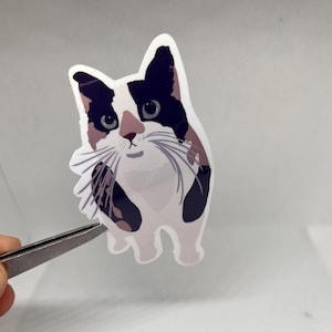Calico Cat Vinyl Sticker – Waterproof Kitty Decal, Cat Lover Gift