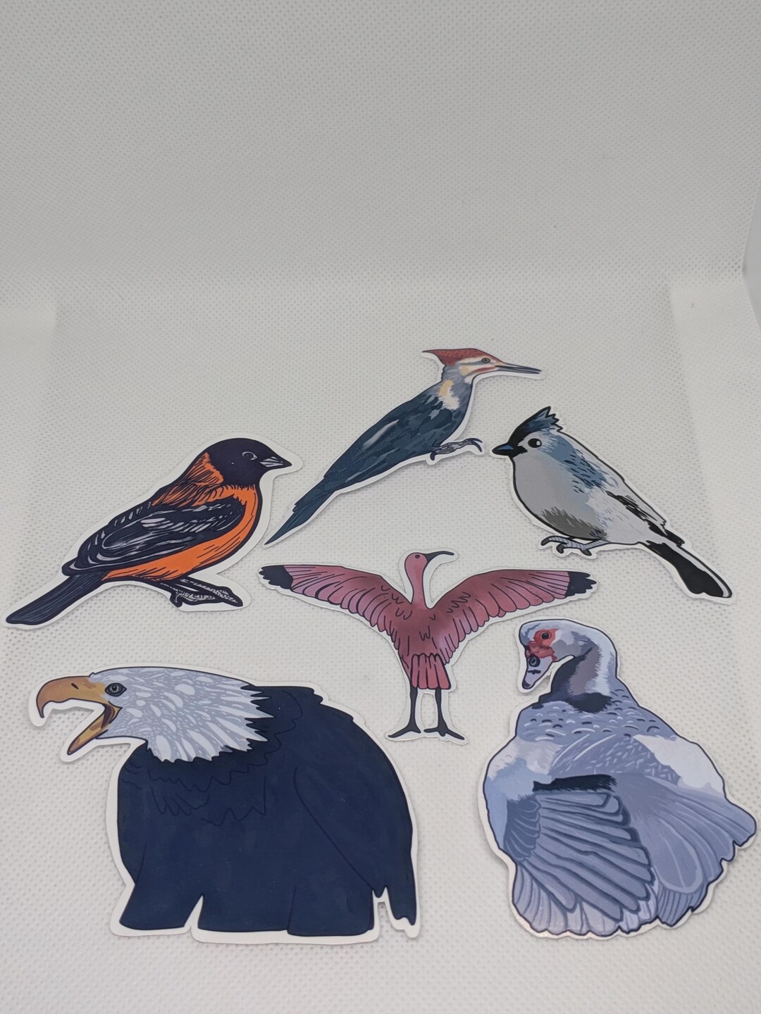 Bird Nerd Sticker Pack | 6 North American Bird Vinyl Stickers - Etsy